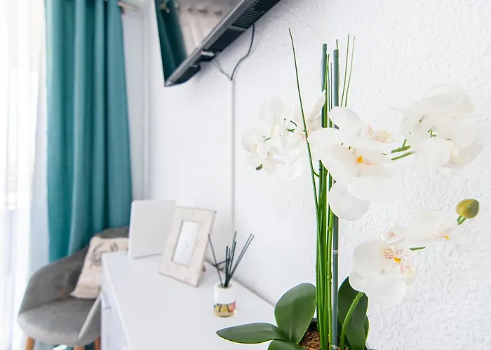 Apartman Cosy In Playa De Americas Ph10 Playa de las Américas